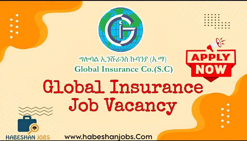 Global Insurance Job Vacancy 2024