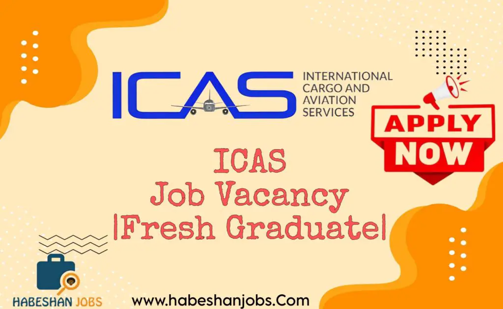 ICAS Job Vacancy Fresh Graduate