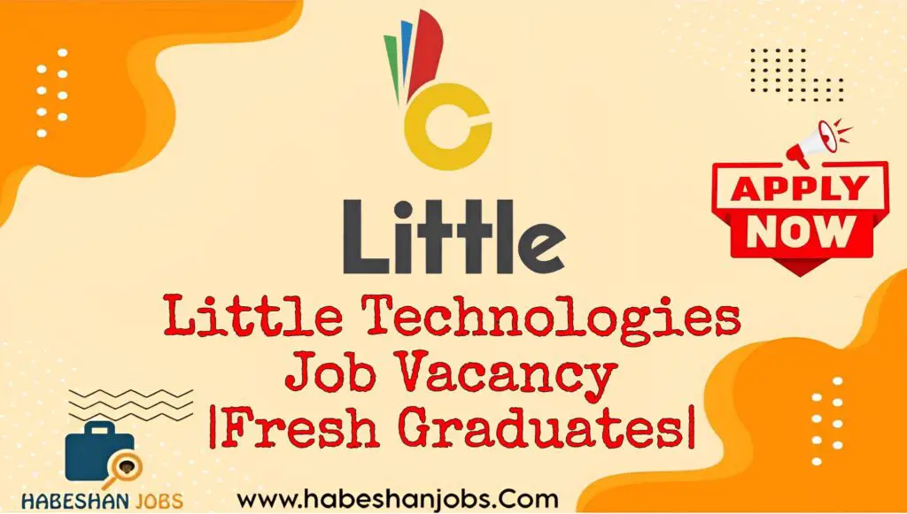 Little Technologies Job Vacancy 2024 |Fresh Graduates|
