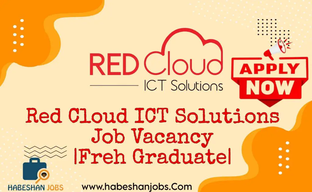 Red Cloud ICT Solutions Job Vacancy 2024 Freh Graduate