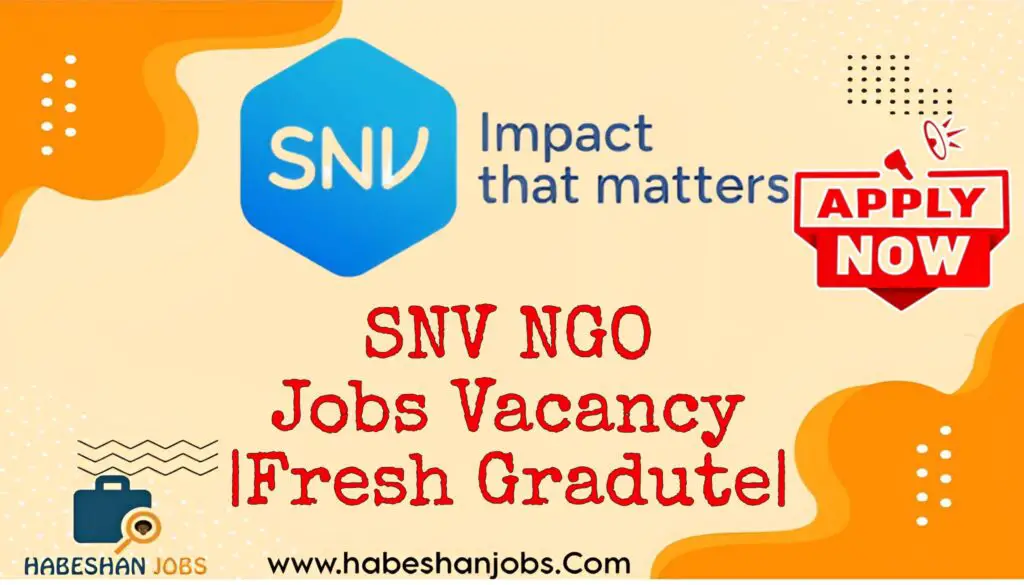SNV NGO Jobs Vacancy Fresh Graduate