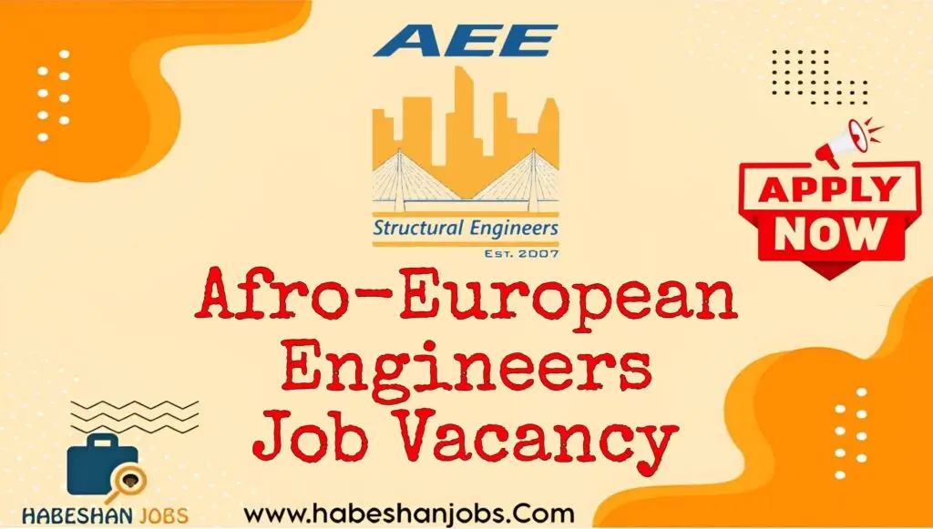 Afro European Engineers Job Vacancy Fresh Graduates