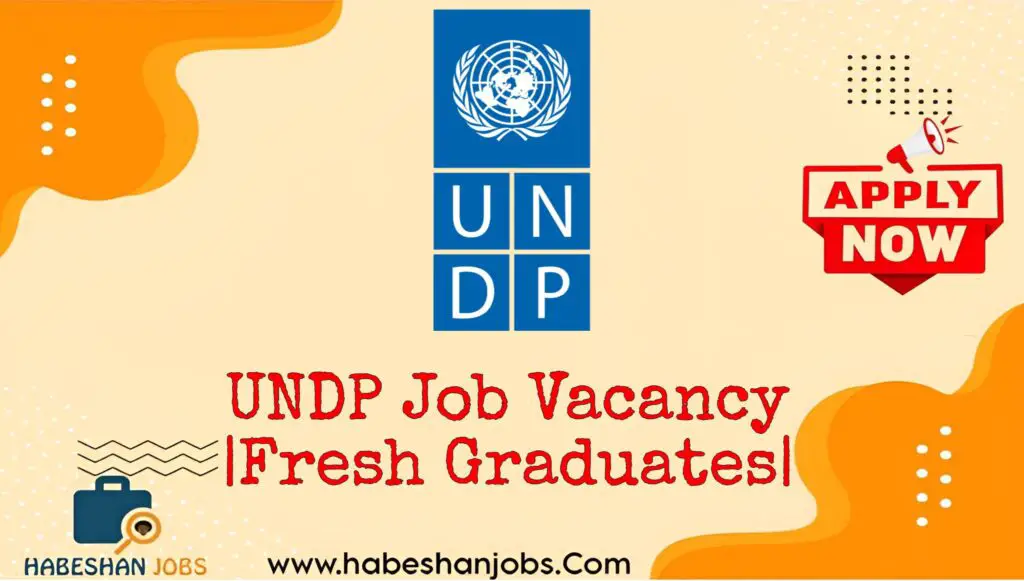 UNDP Internship Vacancy for Fresh Graduates 2025 | Security Intern Jobs in Ethiopia UNDP Job Vacancy 2024 Fresh Graduates