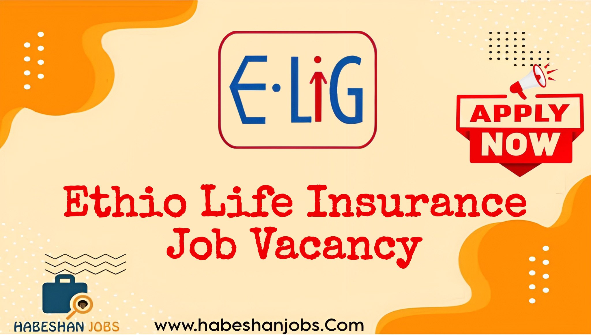 EthioLife Insurance SC Job Vacancy