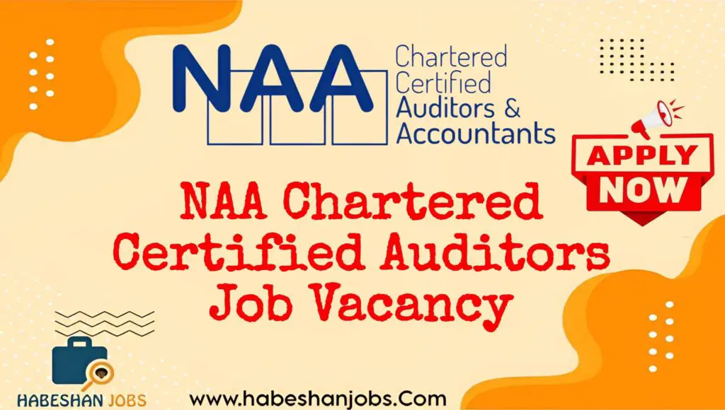 NAA Chartered Certified Auditors Job Vacancy