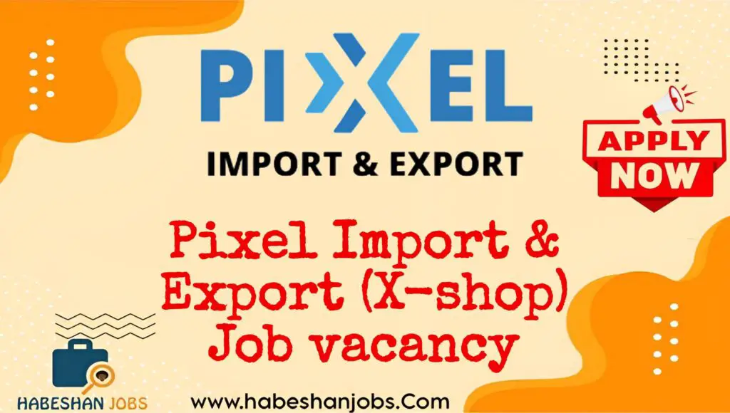 Pixel Import Export X shop