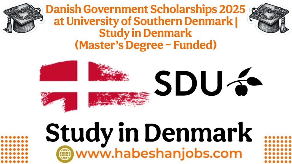 Danish Government Scholarships 2025 at University of Southern Denmark | Study in Denmark (Master’s Degree – Funded) Danish Government Scholarships
