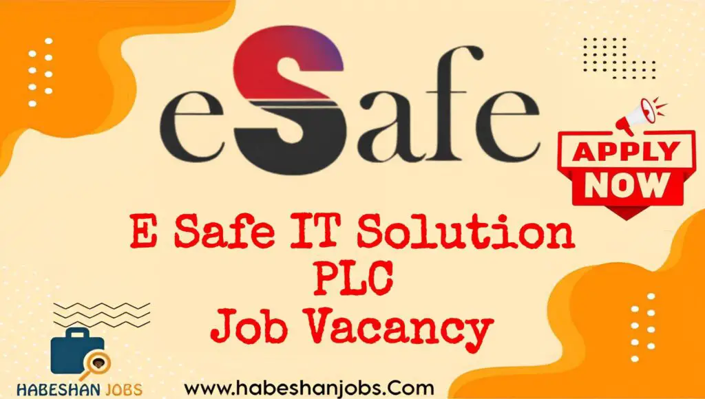 E Safe IT Solution PLC