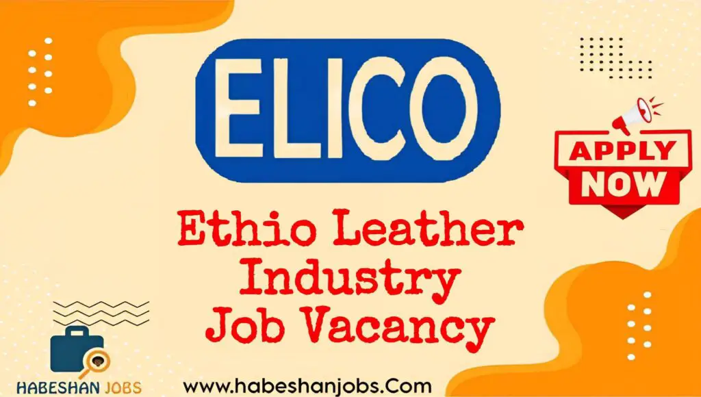 Ethio Leather Industry