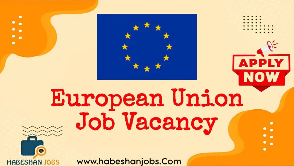 European Union Funded Traineeship Opportunity for Young Graduates – October 2025 | International Relations & Communication Internships in Ethiopia European Union
