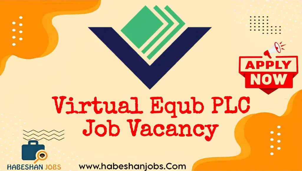 Virtual Equb PLC