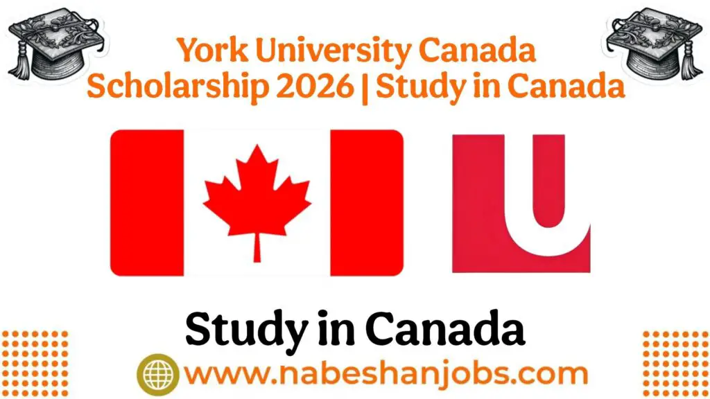 photo 2026 01 12 19 31 24