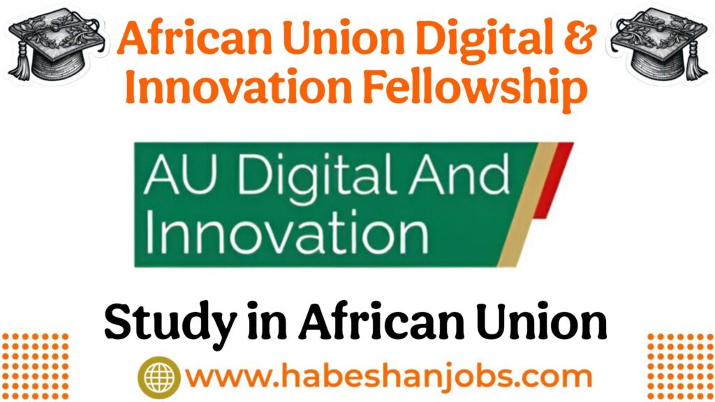 African Union Digital & Innovation Fellowship 2026/2027 photo 2026 02 22 13 58 00