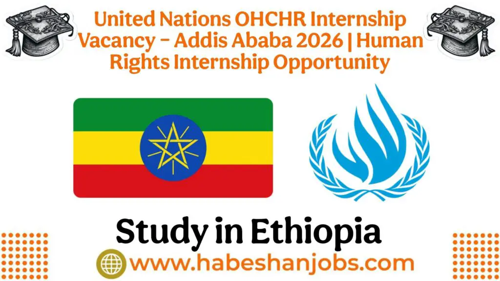 United Nations OHCHR Internship Vacancy
