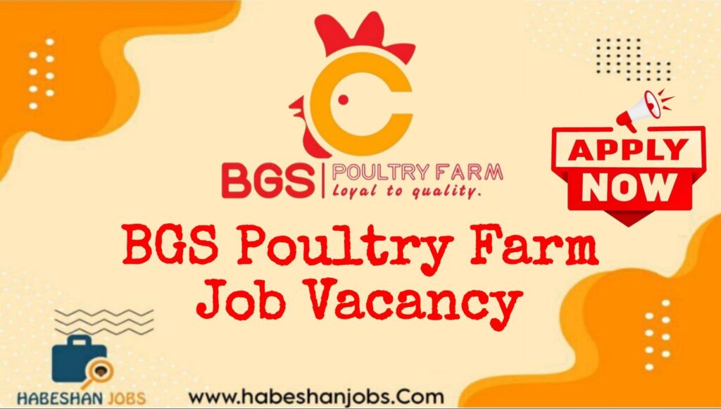 BGS Poultry Farm Job Vacancy 2026 | Junior Accountant photo 2026 09 13 13 10 48